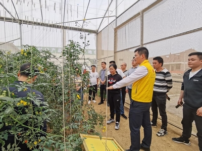 党建引领聚合力 技术下乡促振兴——广西山区综合技术开发中心党支部与天峨县令当村党支部联合开展主题党日活动