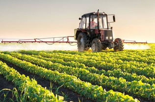 双鸭山 中国最东的房价洼地，农业技术开发的新热土