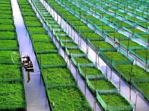 五个关键词洞察2017 农业种植技术开发的未来图景