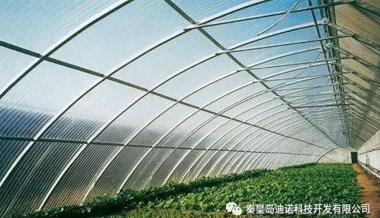 秦皇岛迪诺科技 引领农业种植技术开发新未来