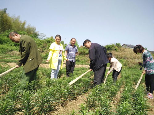 湖南农业网络版 农业种植技术开发的创新与实践